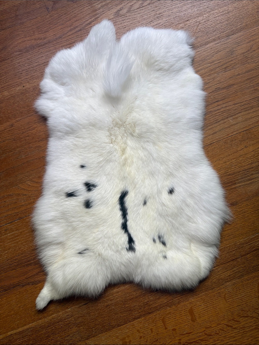B0071 White Natural rabbit pelt with Black Markings